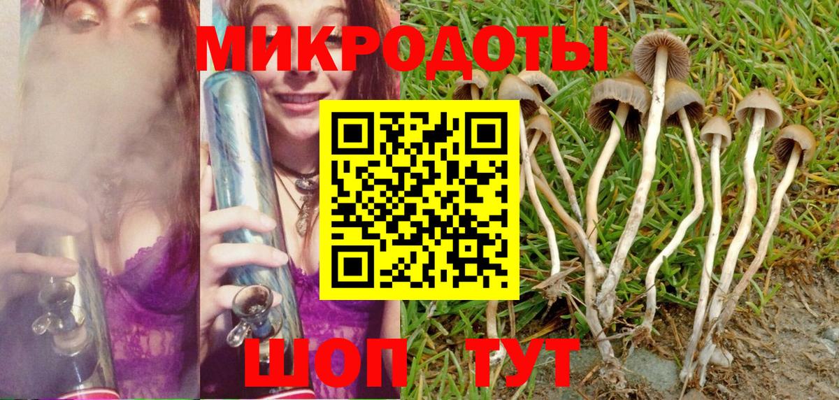 Галлюциногенные грибы прущие грибы Минусинск