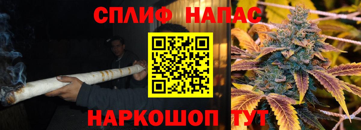 МАРИХУАНА сатива Минусинск